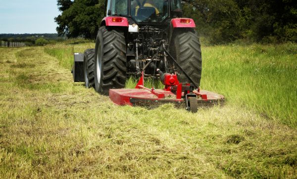 Brush Clearing Service in Grand Junction