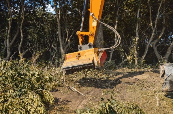 Brush Removal Service in Grand Junction