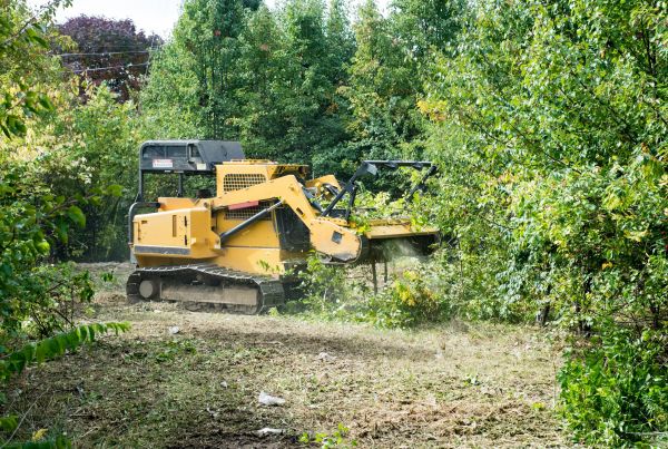 Pathway Clearing in Grand Junction