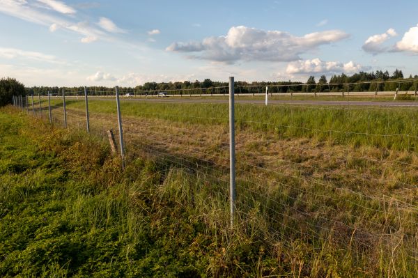 Property Line Clearing in Grand Junction