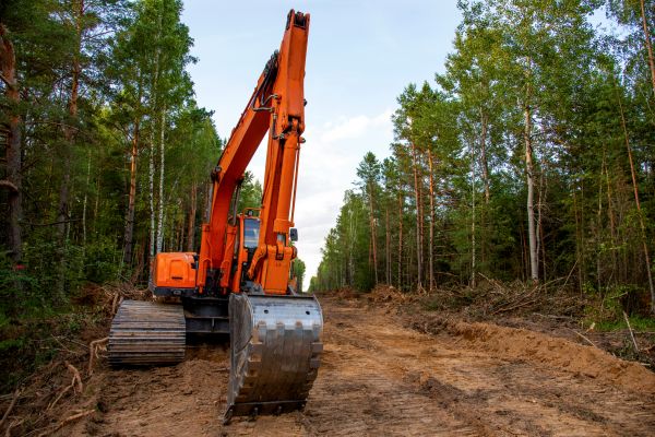 Backhoe Land Clearing in Grand Junction