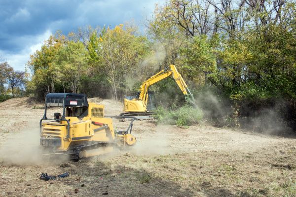 Terrain Clearing in Grand Junction